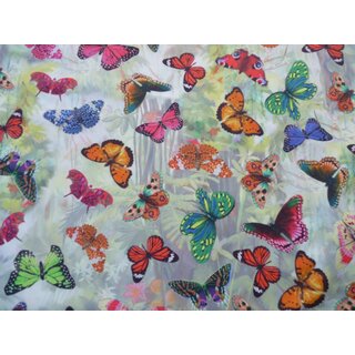 Romantisches buntes Petticoatkleid mitSchmetterlingen zum Petticoat Butterfly