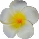 Wei gelbe Hawaiblte Hibiscus Haarblume Haarschmuck 6cm